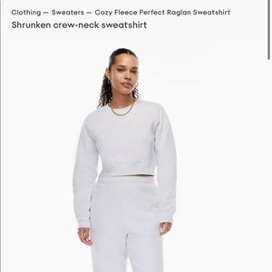 Aritzia TNA perfect cropped sweatshirt